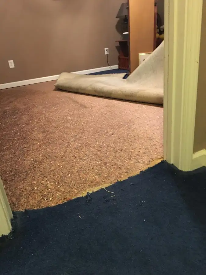 Carpet pad removal revealing water damage during Drying & Dehumidification in Warren